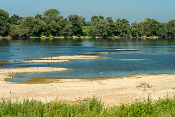 Summer landscape along the cycle path of the Po river, italy Summer landscape along the cycle path of the Po river, iin the Lodi province, Lombardy, Italy. Water birds lodi italy stock pictures, royalty-free photos & images
