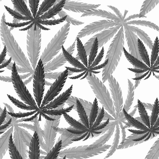 istock black marijuana cannabis leaves seamless pattern on white background. medical plant. Print, packaging, wallpaper, textile desig 1225806123