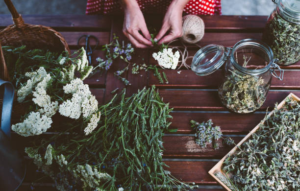 mujer joven preparando hierbas medicinales para el té - mortar and pestle wood healthcare and medicine jar fotografías e imágenes de stock