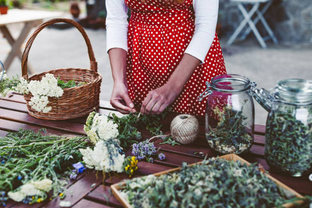 mujer joven preparando hierbas medicinales para el té - mortar and pestle wood healthcare and medicine jar fotografías e imágenes de stock