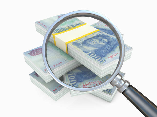 istock Magnifier and money on white background 1225807279