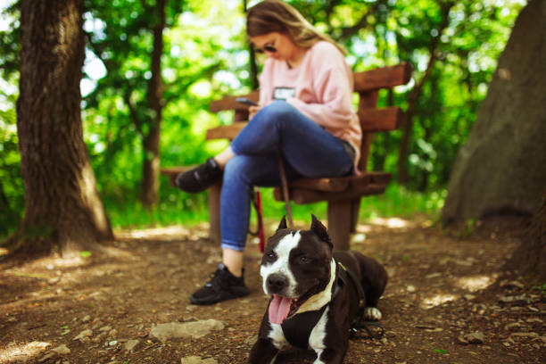 istock Woman take a break at bench with her dog 1225810342