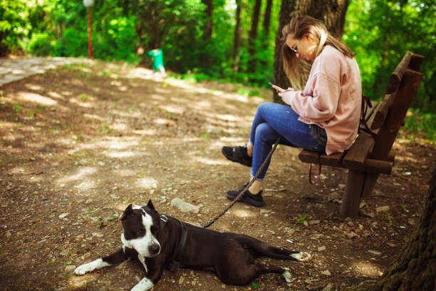 istock Woman take a break at bench with her dog 1225810446