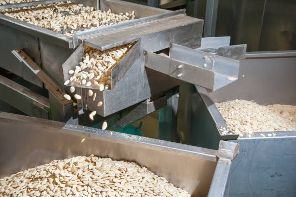istock The working of almonds 1225813709