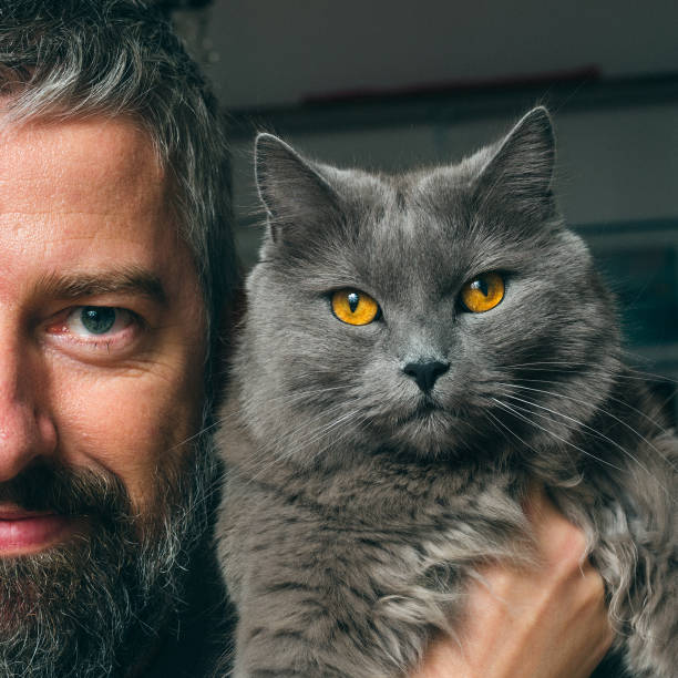 Self-portrait with Chartreux cat