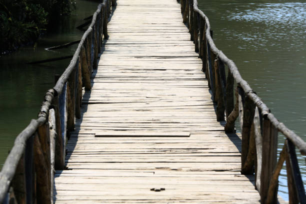 istock wooden bridge on water 1225817172