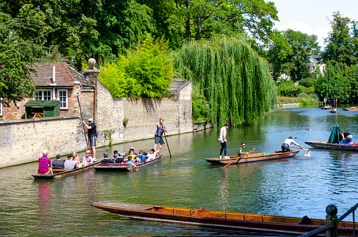 Cambridge, UK - June 6th, 2018; Punting on the river Cam through the colleges and universities of Cambridge city, UK is a huge tourist attraction for both young and old alike and a source of income for students who act as both punters and tour guides.