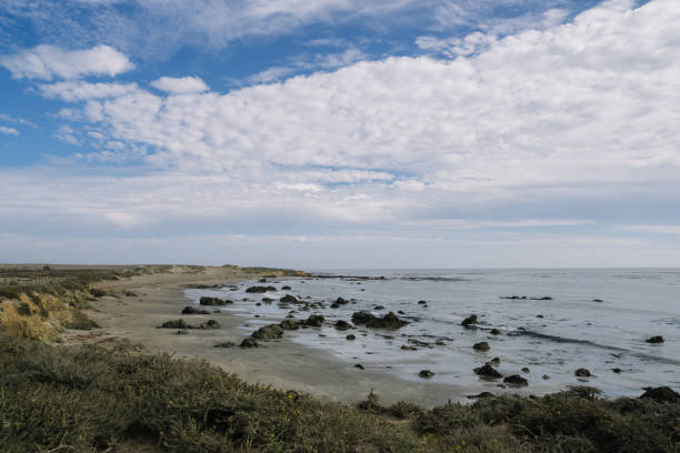 istock The beach in Elephant Seal Vista Point 1225820587