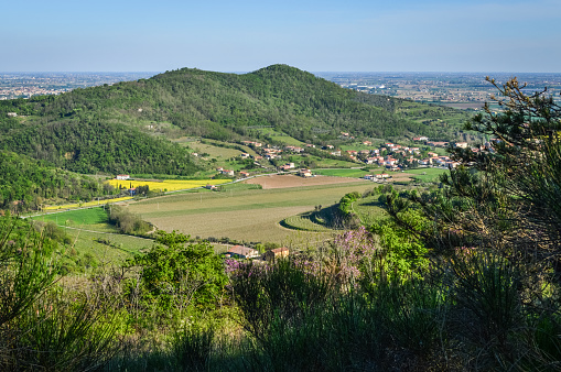 Panoramic view of the fields and vineyards on the Euganean Hills, near Este, Padova, Italy.