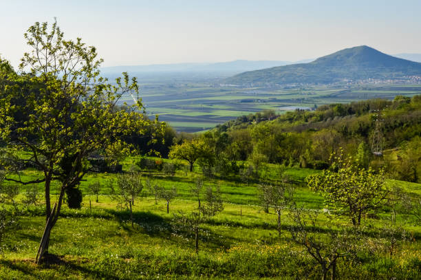 istock Lush vegetation on Euganean Hills at spring, near Este, Padova, Italy 1225824783