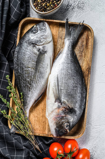 istock Raw Dorado fish with cooking ingredients, cherry tomatoes, thyme, pepper. Gray background. top view 1225825379