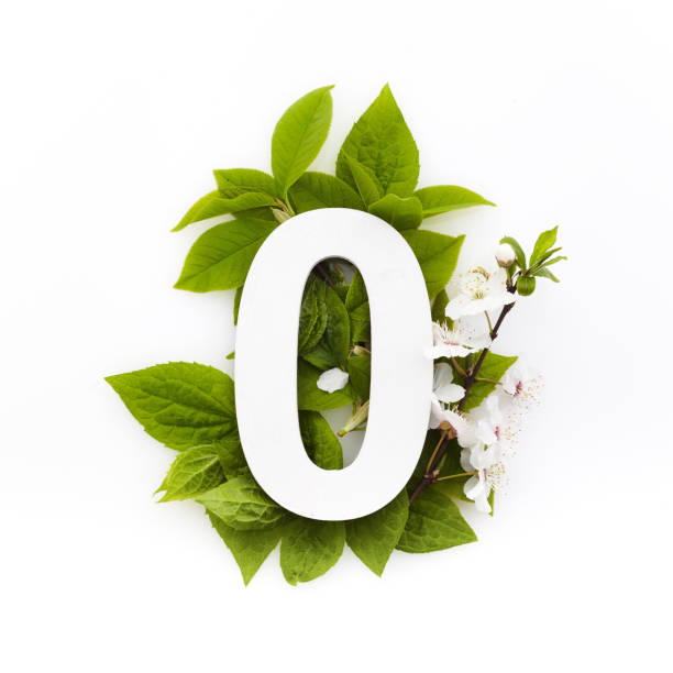 istock Number zero with green leaves. Minimal summer concept. Flat lay. 1225826493