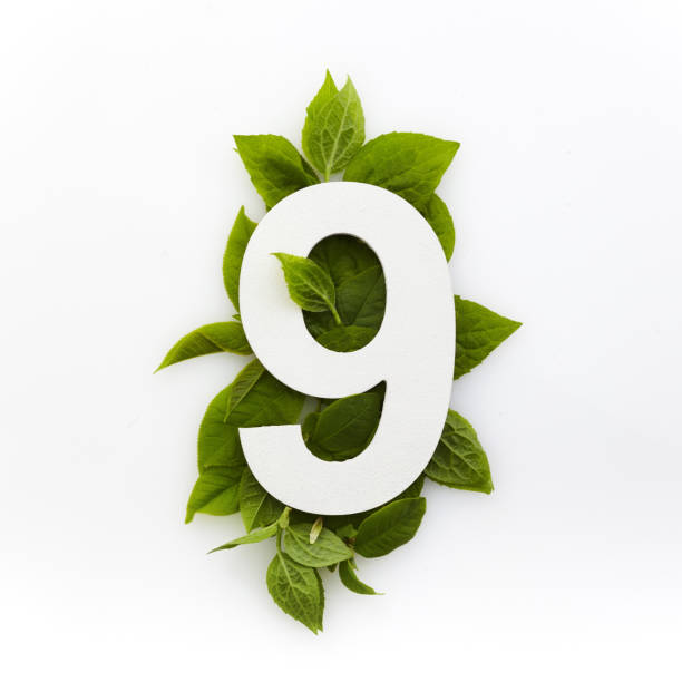 istock Number nine with green leaves. Minimal summer concept. Flat lay. 1225826691