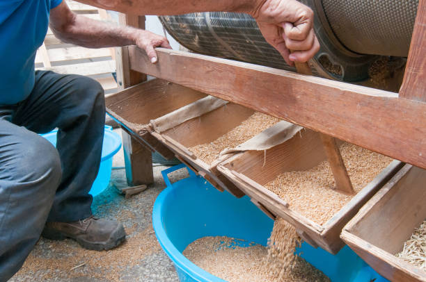 istock Rustic wooden grain separator at work while separating the vetch from the seed 1225828029
