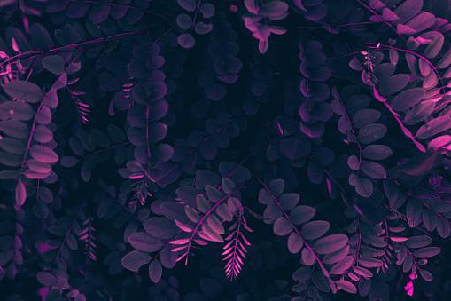 Imágenes de Colores Ácidos | Descarga imágenes gratuitas en Unsplash Imágenes de Colores Ácidos | Descarga imágenes gratuitas en Unsplash