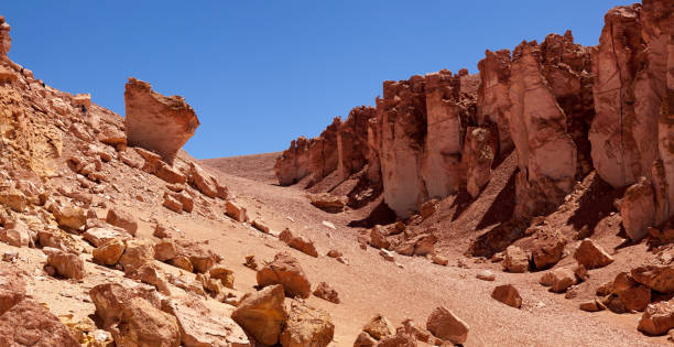 istock Atacama. North of Chile 1225831815