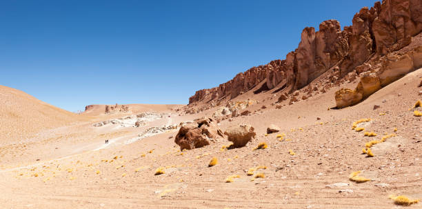 istock Atacama. North of Chile 1225831818