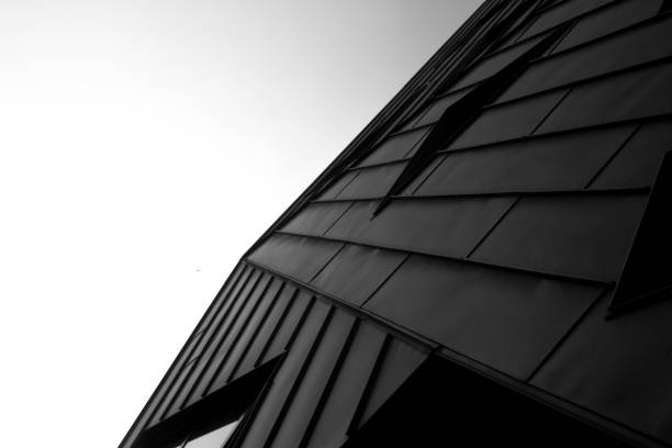 istock Black and white abstract modern building with many lines of sight 1225833136