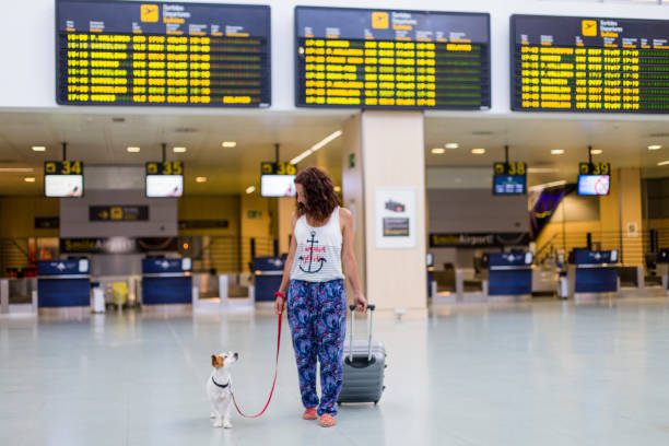 traveler woman and her dog walking by the airport. information screens background. travel and transportation with technology concept. stock photo
