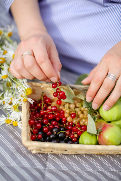 istock A basket of fruit,currants,Apple 1225834493