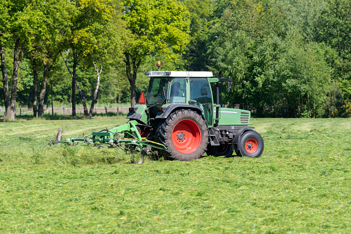 Green tractor mowing tall green grass in early spring in the Netherlands