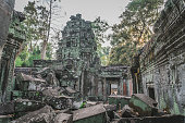 riesige-banyan-baum-alten-angkor-wat-rui