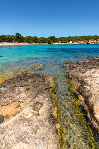 istock Cala Bassa beach, Ibiza. 1225838500
