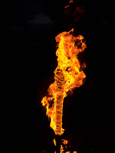 dziki ogień na patyku przed czarnym tłem - zdjęcie stockowe - fireball orange flame burnt zdjęcia i obrazy z banku zdjęć