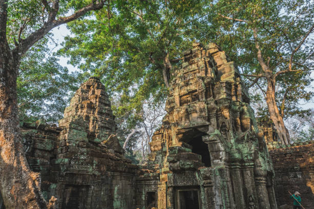istock Cambodia Angkor Wat Ta Prohm Temple Tomb Raider Tree Roots Ruins 1225841750
