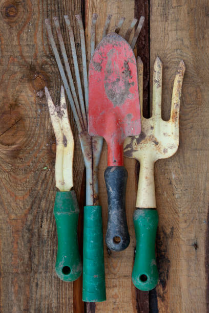 istock A collection of gardening tools on a wood background. 1225842227