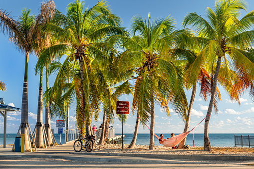 Key West, Florida - December 4, 2019:  People relax in a hammock by the sand of Smathers Beach to watch the sunset in tropical Key West Florida USA