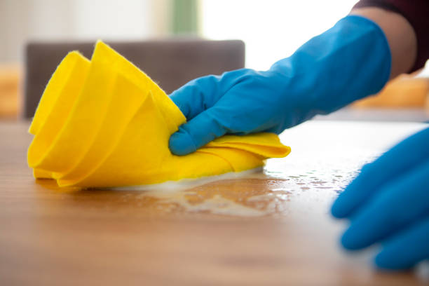 istock Woman cleaning home 1225849188