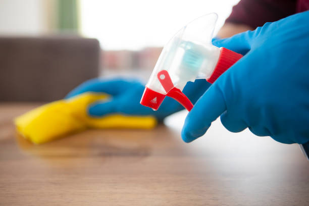 istock Woman cleaning home 1225849284