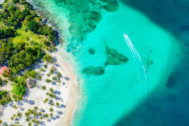 Photo of Aerial drone view of beautiful caribbean tropical island Cayo Levantado beach with palms and boat. Bacardi Island, Dominican Republic. Vacation background.