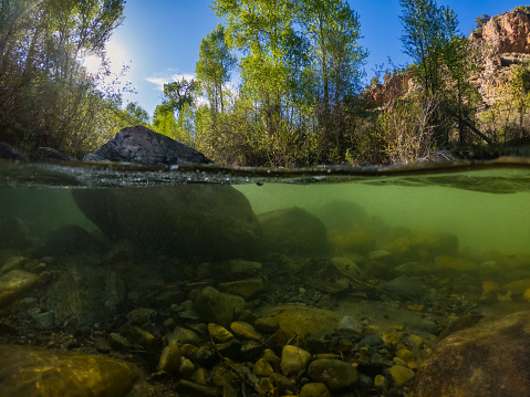 Over Underwater View Mountain Canyon Creek
