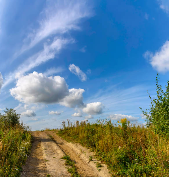 istock Summer landscape with clouds and blue sky. 1225850494