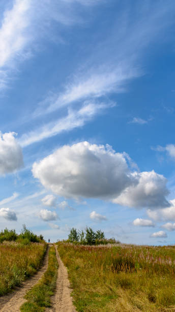 istock Summer landscape with clouds and blue sky. 1225850495