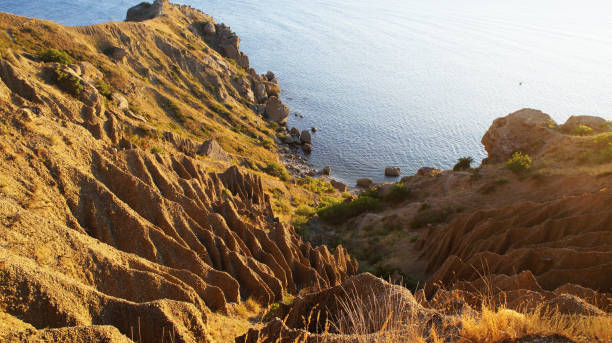 istock sea and rocky shore 1225850565