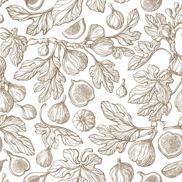 Vector illustration of Fig seamless pattern Vector antiquity garden Print