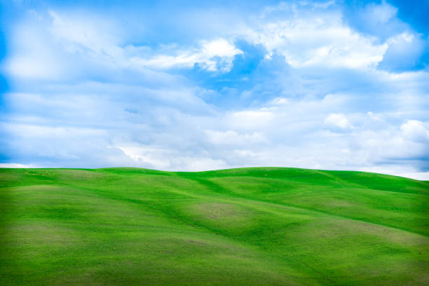 istock green field and blue sky 1225852461