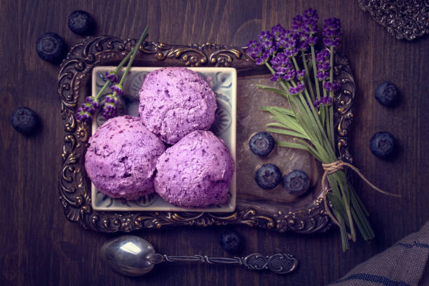 istock Homemade blueberry ice cream 1225852676