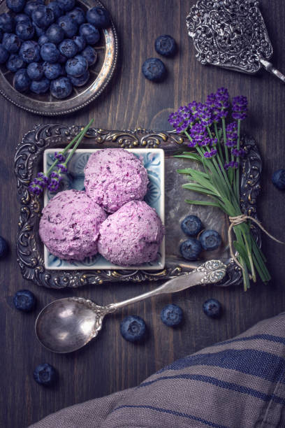 istock Homemade blueberry ice cream 1225852677