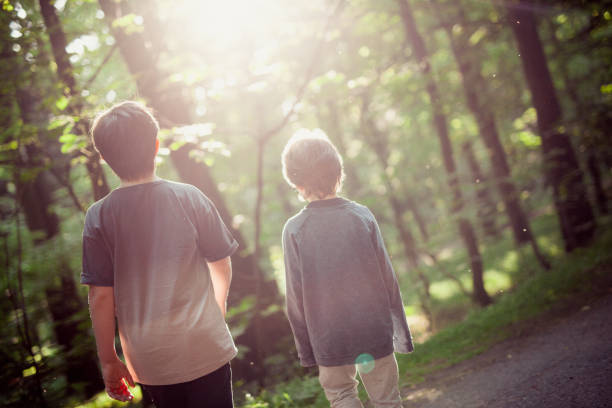 istock Schoolchildren in forest. Brothers in forest. 1225853647