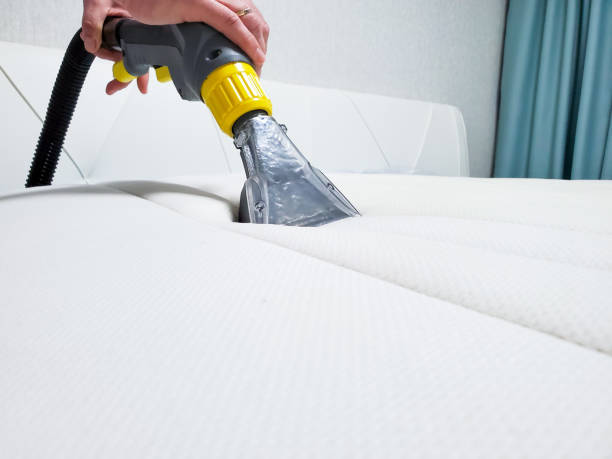 istock spring cleaning or regular cleaning. clean the mattress 1225855259