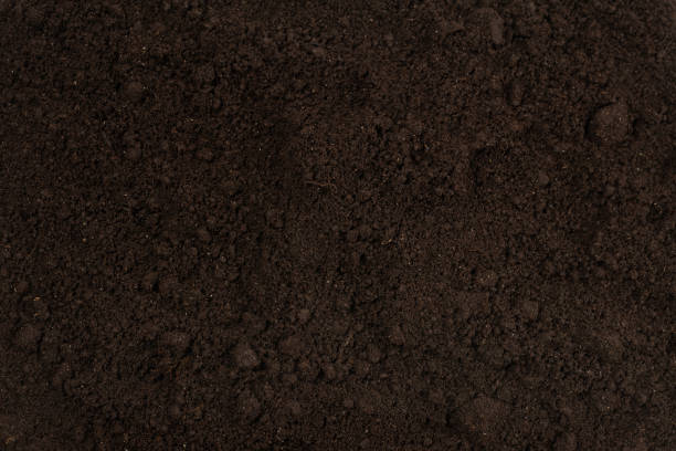 istock Black land for plant background. 1225856567