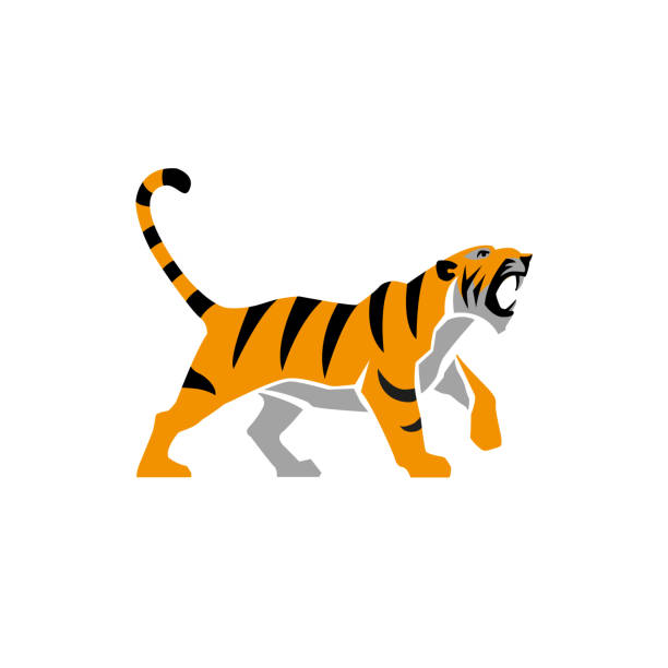 illustrazioni stock, clip art, cartoni animati e icone di tendenza di emblema del segno del logo tigre sull'illustrazione vettoriale di sfondo bianco - tiger roaring danger power