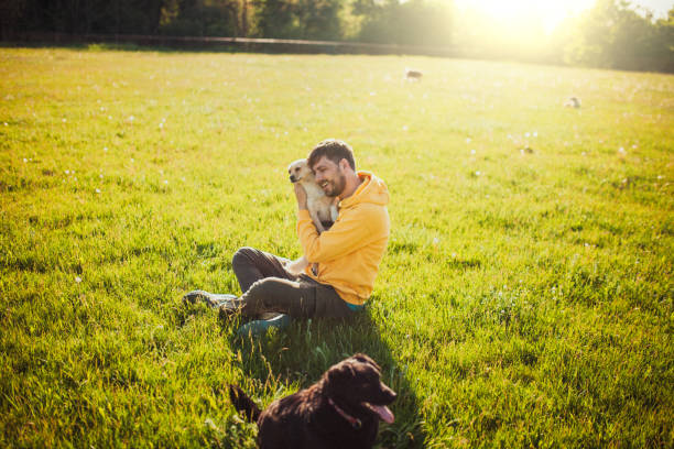 istock Guy and his dog, Golden Retriever, courtyard 1225858056