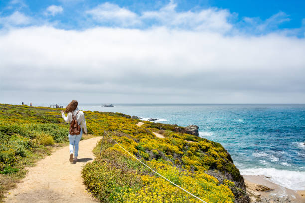 dziewczyna korzystających spacer w parku nad oceanem w kalifornii. - coastline california big sur beach zdjęcia i obrazy z banku zdjęć
