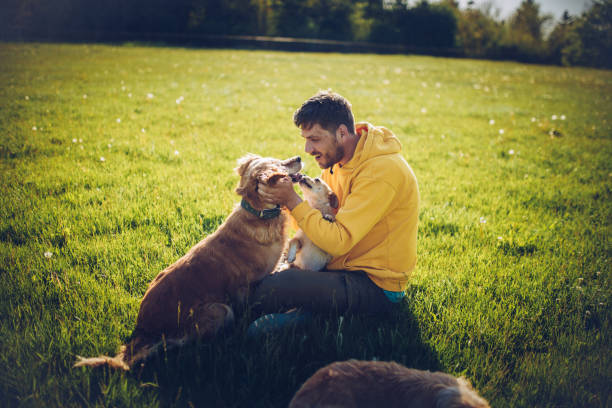 istock Guy and his dog, Golden Retriever, courtyard 1225859207