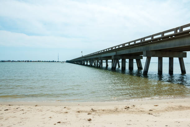 istock Sights to enjoy in a white sand summer beach 1225861481